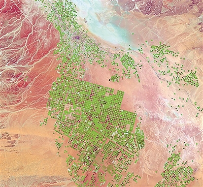 AI“虚拟卫星”追踪全球地表变化